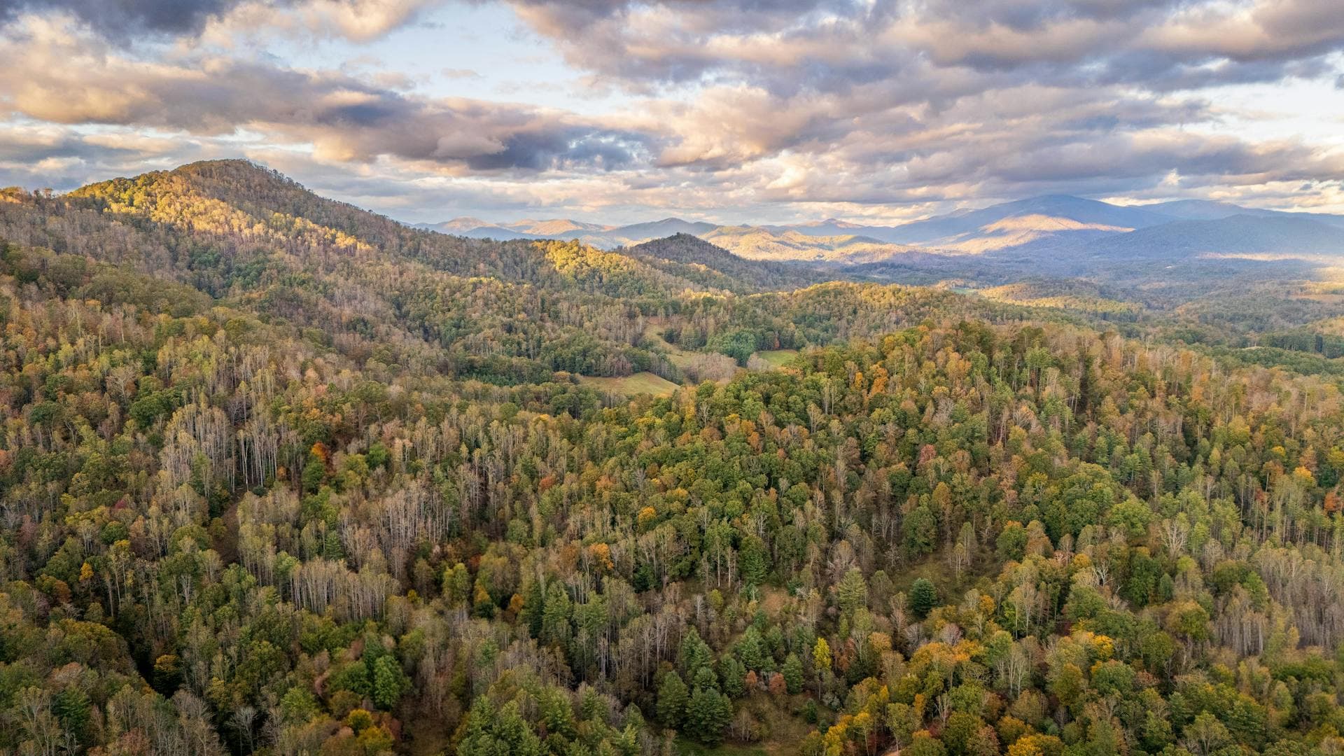 Blue Ridge Mountains overlooking the Roanoke Valley
